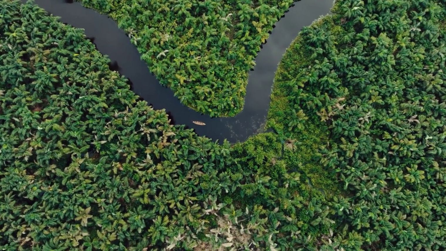 Vue aérienne d'une rivière dans la forêt béninoise